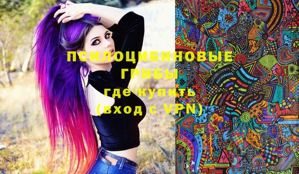 МДПВ Алексеевка