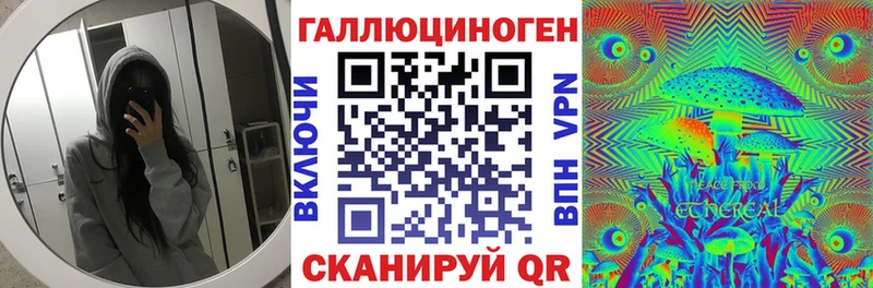 Галлюциногенные грибы Psilocybe  купить наркоту  Чкаловск 
